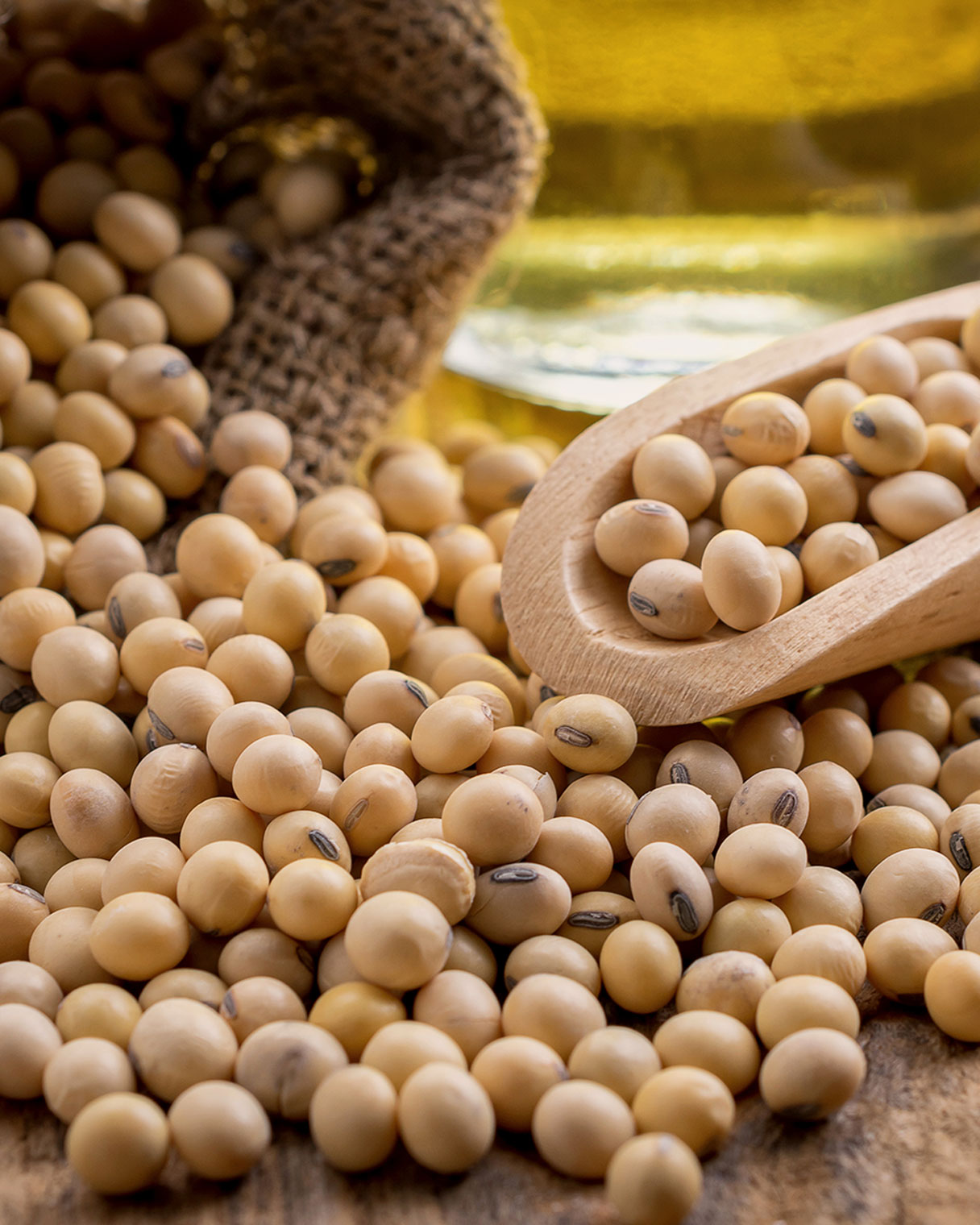 Soybeans
